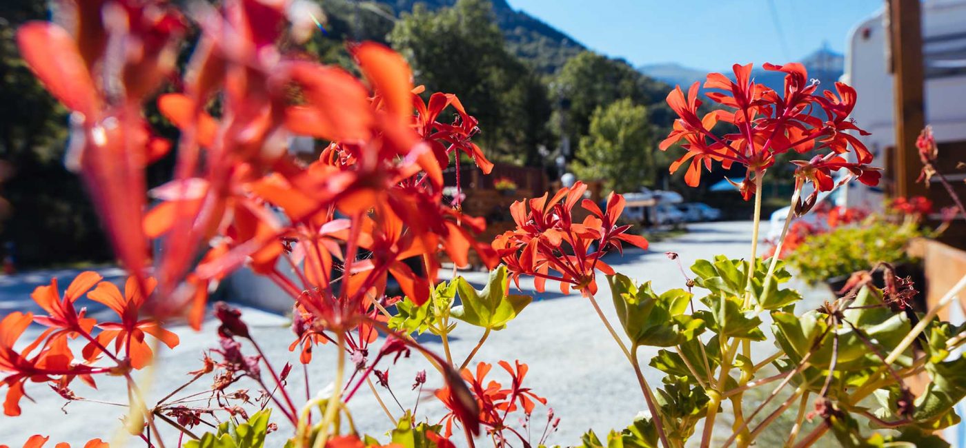 Camping que Debes Visitar en el Valle de Arán este Año