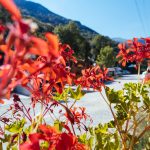 Camping que Debes Visitar en el Valle de Arán este Año